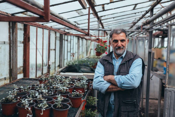 istock man working in greenhouse flower nursery 1253847164