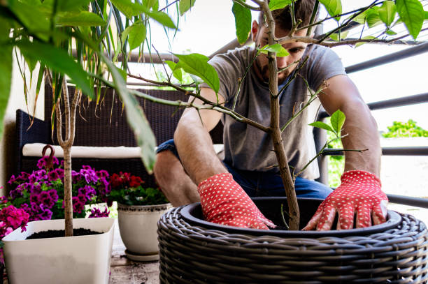 istock Young man re-potting plants 1253848840
