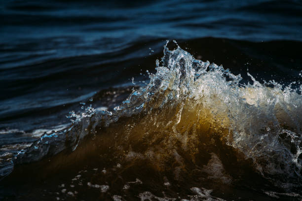 istock Detailed dark blue water wave 1253853240