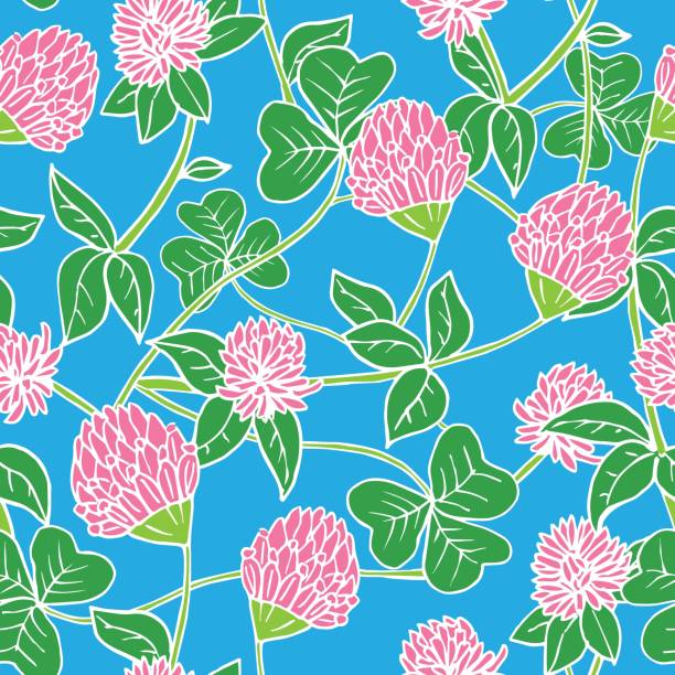 ilustrações de stock, clip art, desenhos animados e ícones de hand drawn white lines and color seamless vector floral pattern. bright pink clover flowers with green leaves on sky blue background - textile backgrounds irish culture decoration