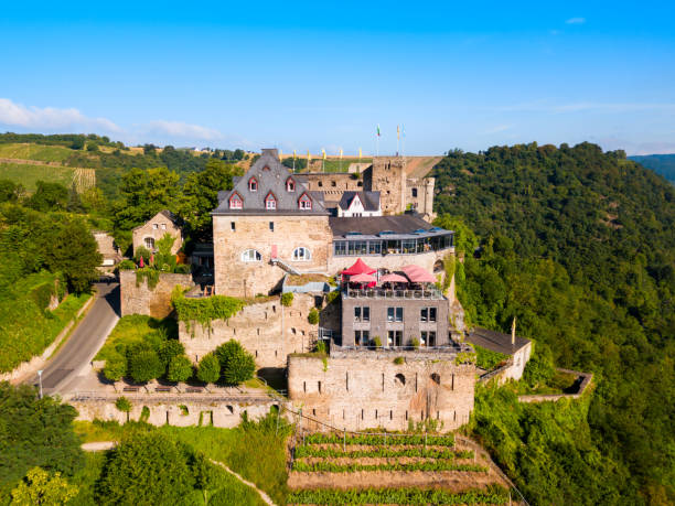 ruinas del castillo de rheinfels en saint goar - rheinfels fotografías e imágenes de stock