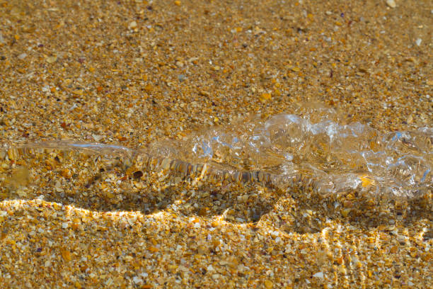 Seabed and clear transparent sea water