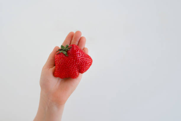 istock Ugly strawberry fruit in hand. Reduce food waste 1253859511