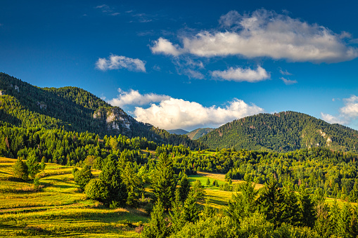 Forested mountainous landscape on a sunny morning. The  Mala Fatra National Park, Slovakia, Europe.