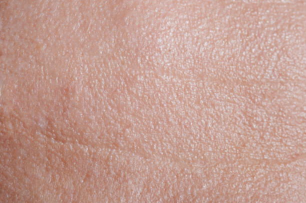 istock Skin on forehead with wrinkles 1253862108