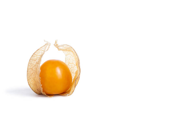Group golden berries, also known as physalis, Cape gooseberries, or Peruvian ground cherries. High angle view. Studio shot.