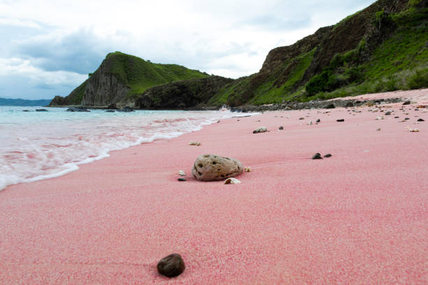 closeup pasir merah muda di pantai pink, taman nasional komodo, indonesia - nusa tenggara timur potret stok, foto, & gambar bebas royalti