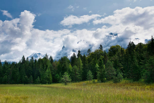 mittenwald alps view german municipality in the district of garmisch-partenkirchen, in bavaria with the karwendel ridge. hiking trail ferchensee and lautersee in summer - lautersee lake imagens e fotografias de stock