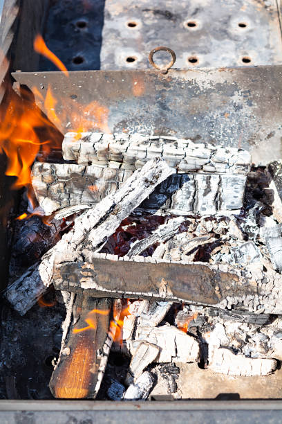 istock Burning firewood for bbq grill grate 1253864801