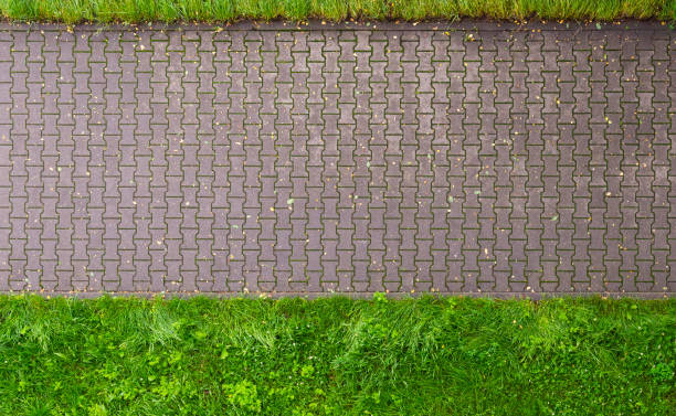 istock Straight line of stone pavement and lawn on both sides. Top view 1253865675
