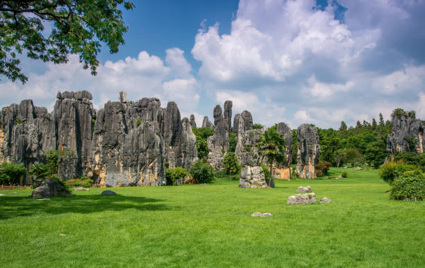 istock Kunming City,Stone Forest Scenic 1253866875