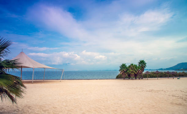 istock Lake landscape in summer 1253867284