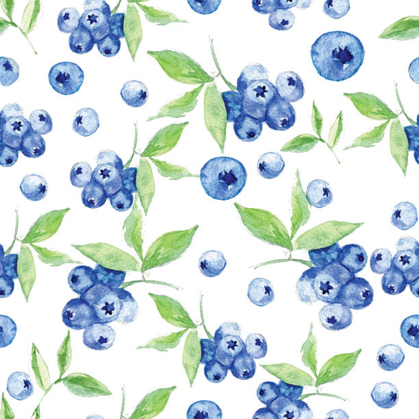 istock Seamless pattern of watercolor and blueberry on white background 1253869482