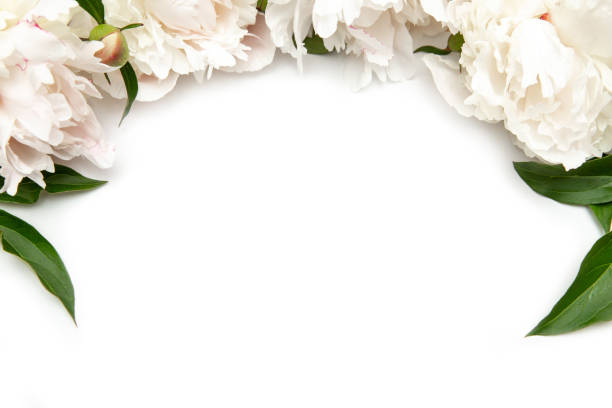 istock Flowers frame background. White paper card with peonies. Workspace. Blank for greetings 1253871231