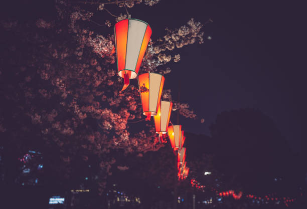 istock Japanese Lanterns Illuminated on Cherry Blossom Trees 1253874544