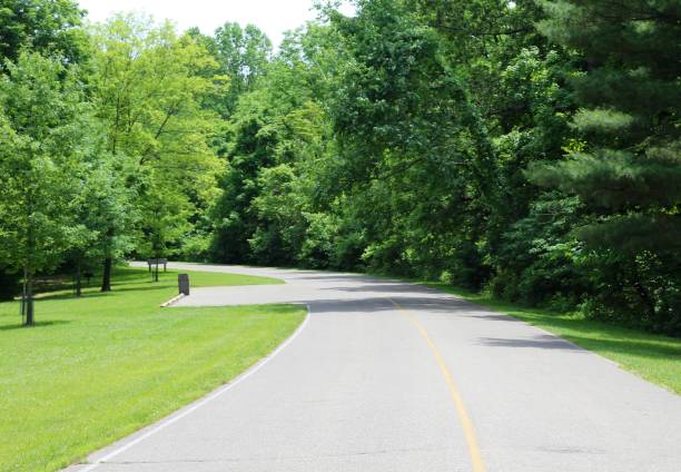istock Middle of the Road 1253874731