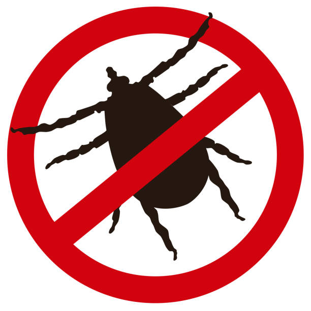 Black tick insect icon warning silhouette on white background, vector eps 10 Black tick insect icon warning silhouette isolated on white background. Anti Mite tick bug drawn sign, vector design eps 10 pest control logos silhouette stock illustrations