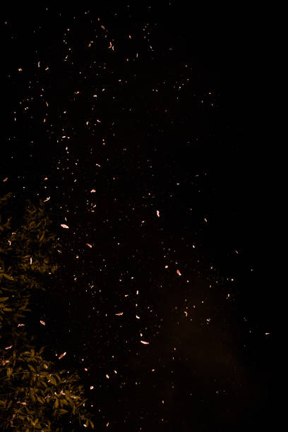 Photo of Sparks and Ash Rising in the Night Sky from Bonfire Flames