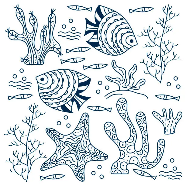 Vector illustration of Sea floor, underwater world. Fish and seaweed on a white background. Hand drawing vector drawing. Contour drawing for the cover, poster or book coloring pages