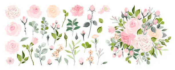 Vector illustration of Rose elements. Pink flower buds, roses with green leaves bouquets, floral romantic wedding decor for vintage greeting card. Vector set