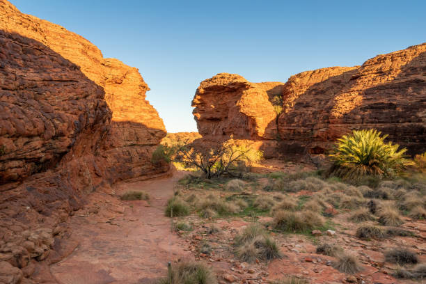 Hiking In The Outback, Northern territory, Australia. Northern Territory, Australia; March 15, 2020 - While hiking in the Australian outback one gets to admire the ever changing spectacular landscape. alice springs photos stock pictures, royalty-free photos & images