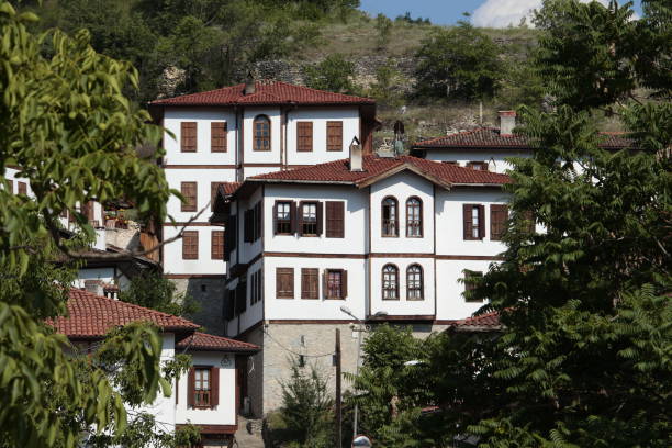 istock Safranbolu houses 1253880493