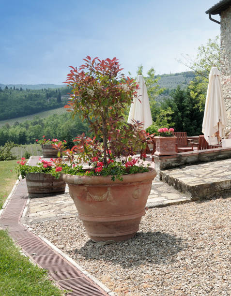 istock Patio in holiday villa. 1253882515