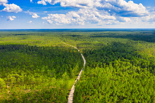 A winding road through a forest from a drone point of view.