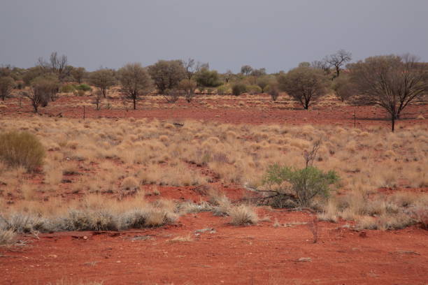 istock View of red desert sands in outback Central Australia 1253884311