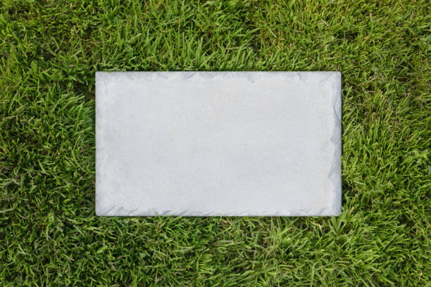 gray concrete rectangular plate in fresh green lush grass on a sunny bright lawn. - pedestal collection showing old imagens e fotografias de stock