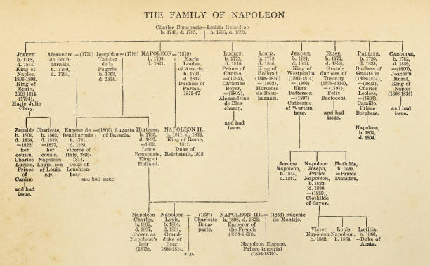 istock Napoleon Bonaparte’s Family Tree - 19th Century 1253886063