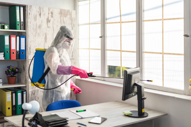 A sanitary officer cleans and disinfects an office from Covid 19 A sanitary officer cleans and disinfects an office from Covid 19 crop sprayer stock pictures, royalty-free photos & images