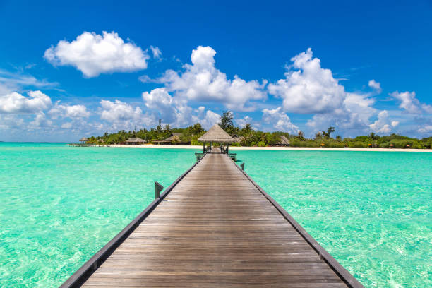 istock Water Villas (Bungalows) in the Maldives 1253887546