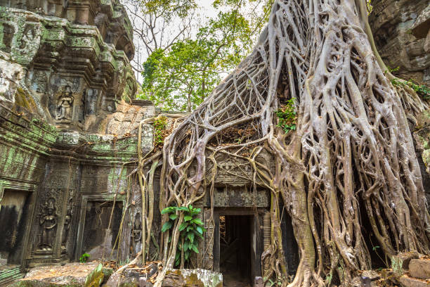 istock Ta Prohm temple in Angkor Wat 1253887662