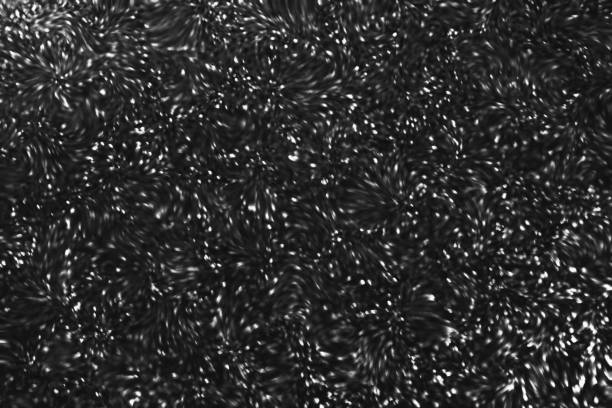 Black Silver Glitter Abstract Holiday Background Bokeh Diamond Luxury Texture Distorted Grayscale Shiny Dark Swirl Pattern Macro Photography