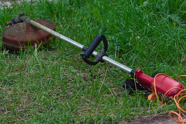 istock electric lawn mower on the grass 1253891331