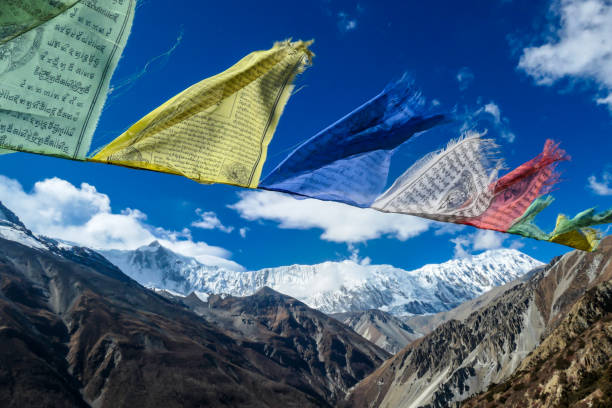istock Tilicho Base Camp - Prayer flags waving above the snow capped Himalayas 1253894020