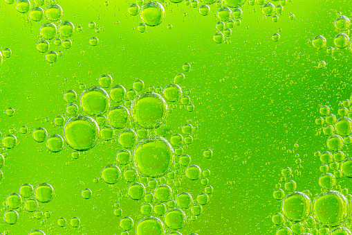 Green bubbles in a green background.