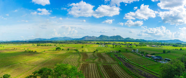 istock Panorama Green field with mountain background, Thailand. 1253894447