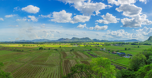 Panorama Green field with mountain background, Thailand.