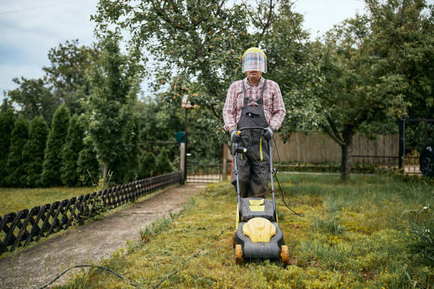 istock Senior man mowing the lawn in the back yard 1253895070
