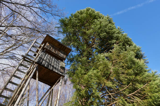 istock Hunting facility in the schoenbuch nature park 1253897113