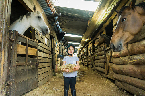 Happy little girl smiling at camera while standing in a middle of a stable holding hay for the horses