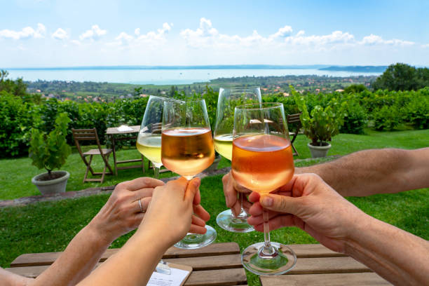 家族の友人と素敵な夏の日にバラトン湖の素敵な景色を望むブドウ園のバーで  ワインと乾杯 - ハンガリー ストックフォトと画像
