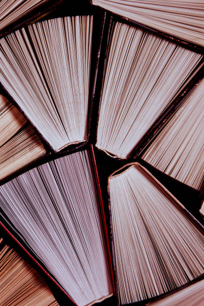 istock Colorful books ready to be read in the home library 1253901397