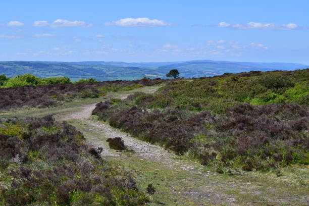 istock Somerset Countryside, with hills, blue sky fields in the distance 1253904313
