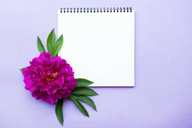 istock Pink peony flower and blank sheet for notes. Top view, mockup 1253908699
