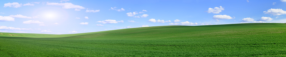 Blue sky over rolling hills of young green grain crops; global shortages due to supply chain issues are causing prices of wheat to rise.  Shot in Idaho, USA.