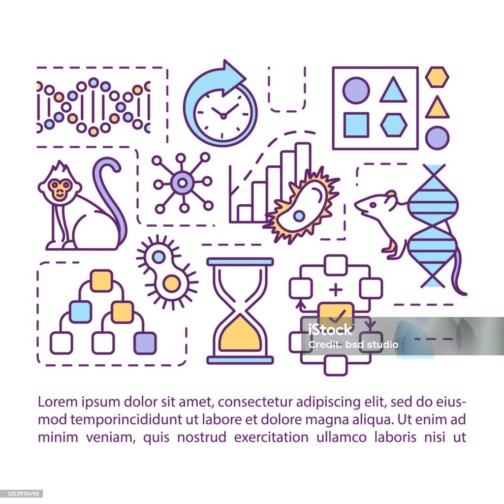 Evolution Concept Icon With Text Natural Selection And Genetic Drift  Mutation And Recombination Ppt Page Vector Template Brochure Magazine  Booklet Design Element With Linear Illustrations Stock Illustration -  Download Image Now - iStock