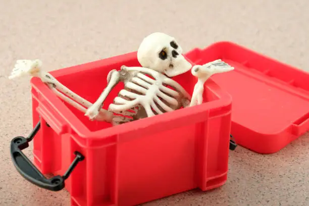 Photo of bones and parts of the human skeleton are stacked in a red box